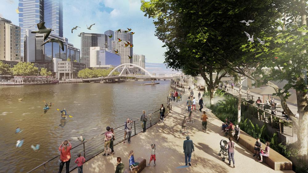 An artist’s impression of what Flinders Walk might become. The image shows seagulls flying over the river, while ducks diving into the water as people walk along the new pathway protected by the shade of trees.  